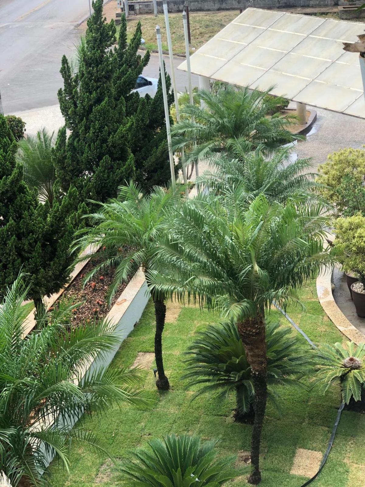 Paracatu Plaza Hotel Zewnętrze zdjęcie